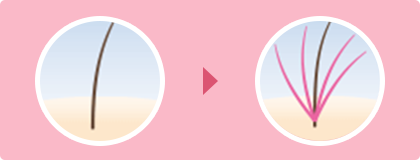 日本專利號 4564162